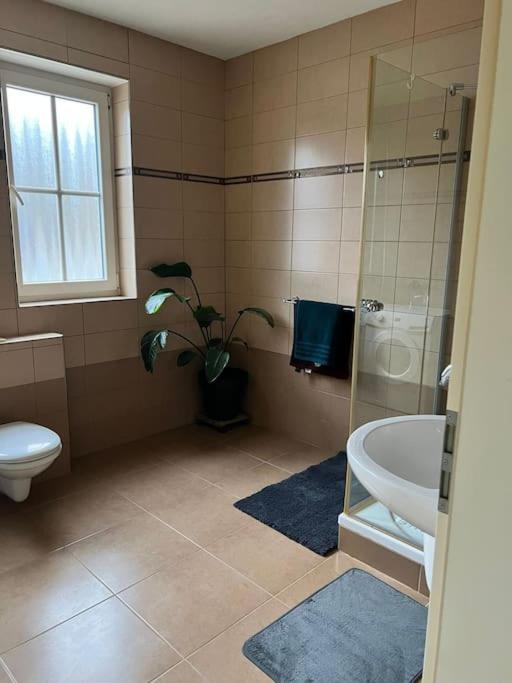גרונאו Privatunterkunft In Gronau מראה חיצוני תמונה